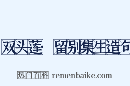 双头莲·留别集生造句是什么意思的图片